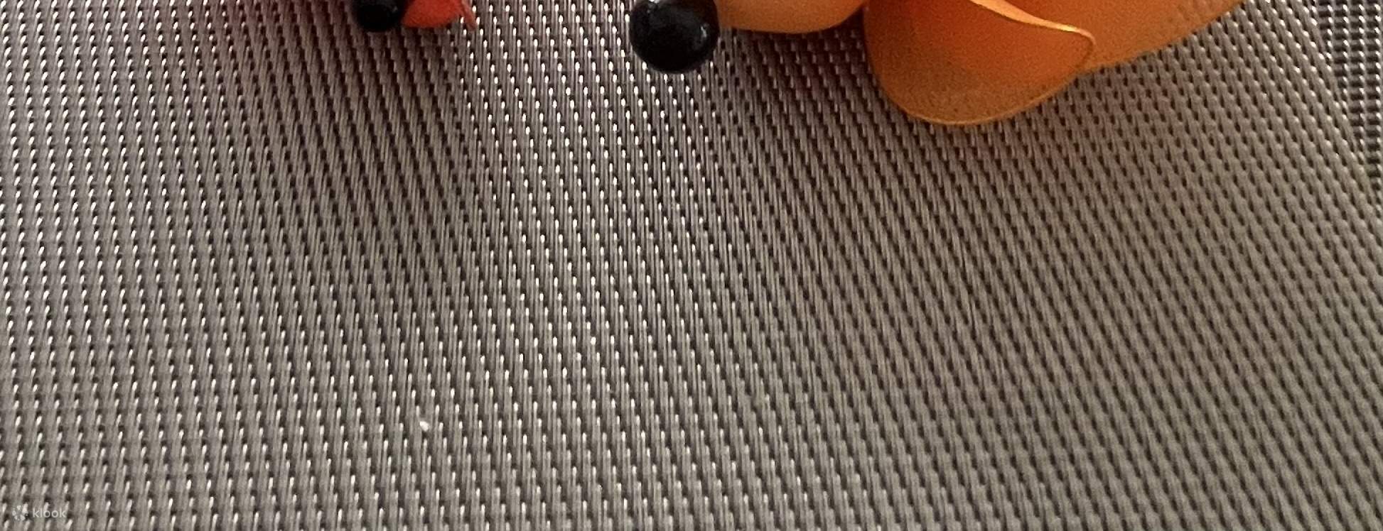 Taller de arte guiado para personas mayores en Singapur