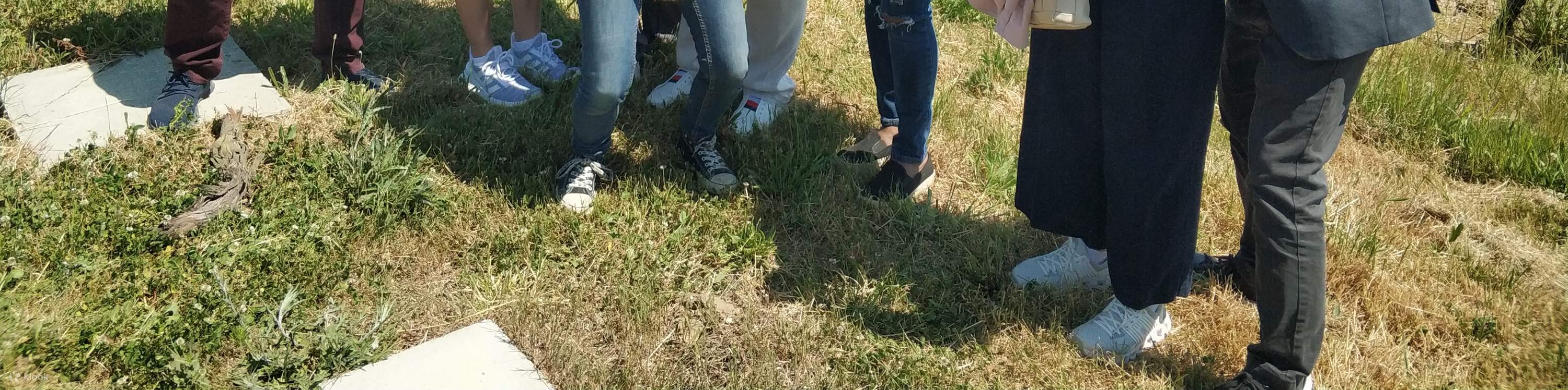 ทัวร์ชิมไวน์และเยี่ยมชมลุ่มแม่น้ำลัวร์หนึ่งวัน พร้อมอาหารกลางวัน (เดินทางจากปารีส)