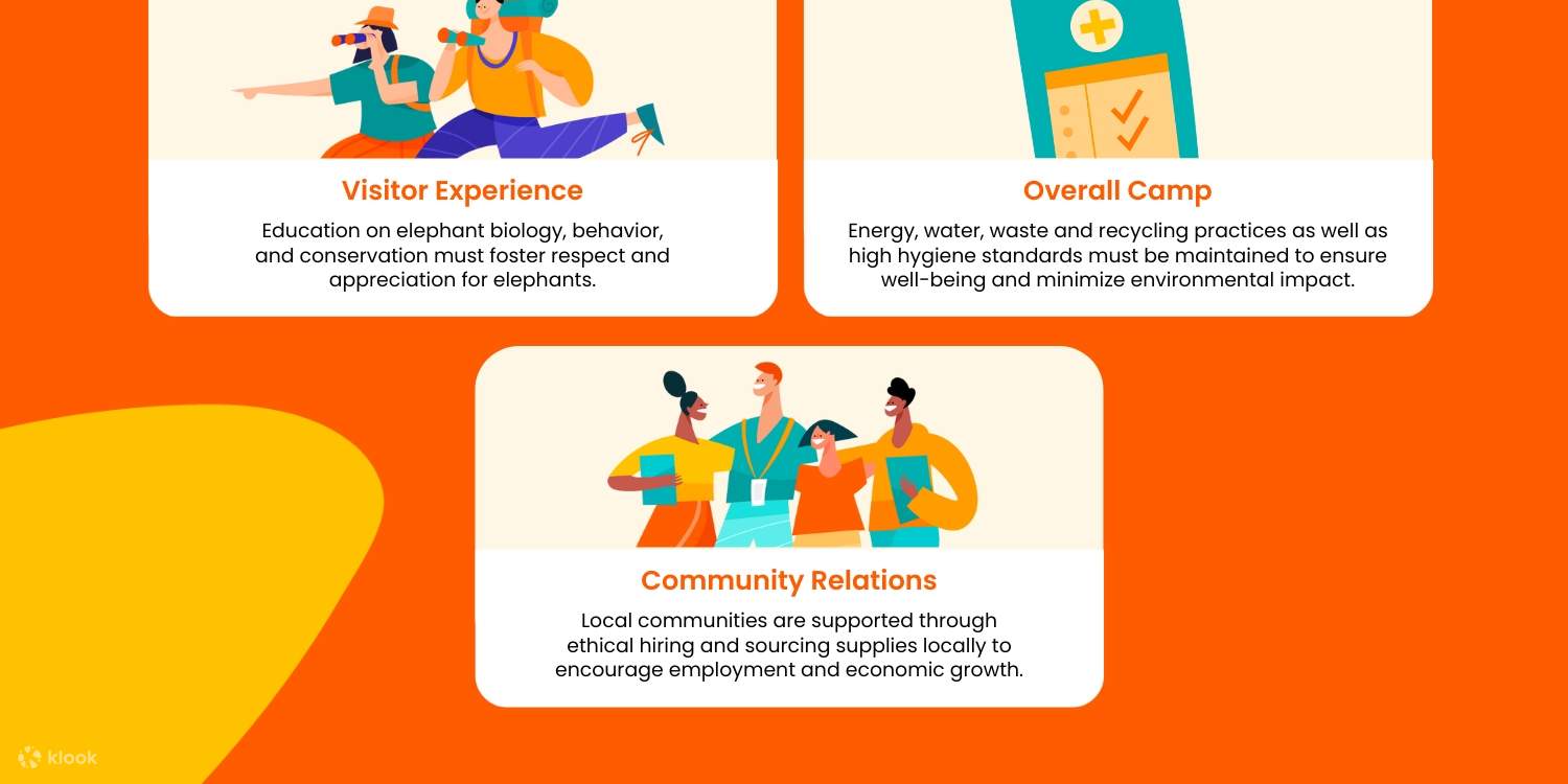 Elephant Jungle Sanctuary Phuket Experience