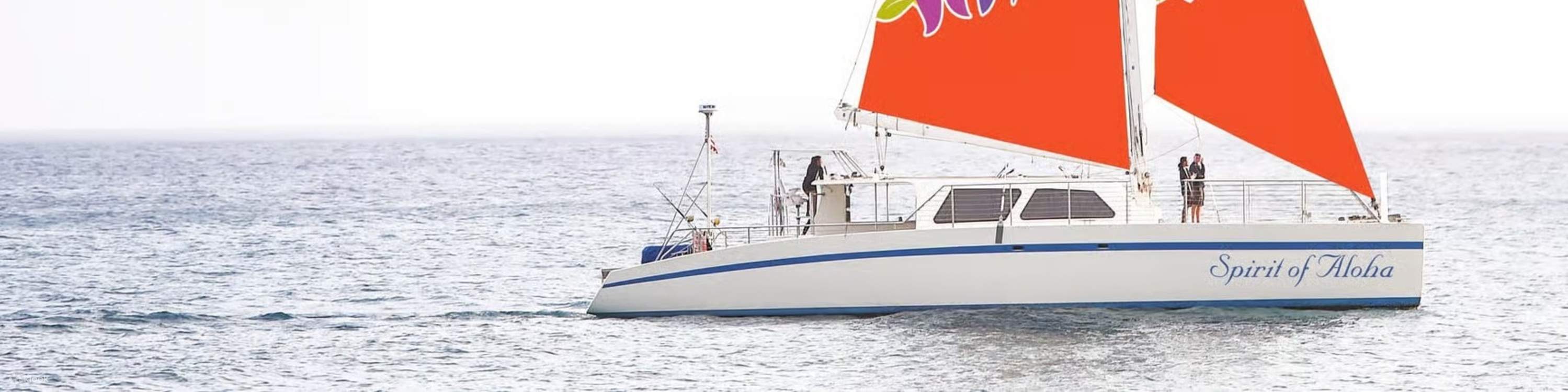 Sailing proudly aboard Spirit of Aloha, cutting across shimmering coastal waves