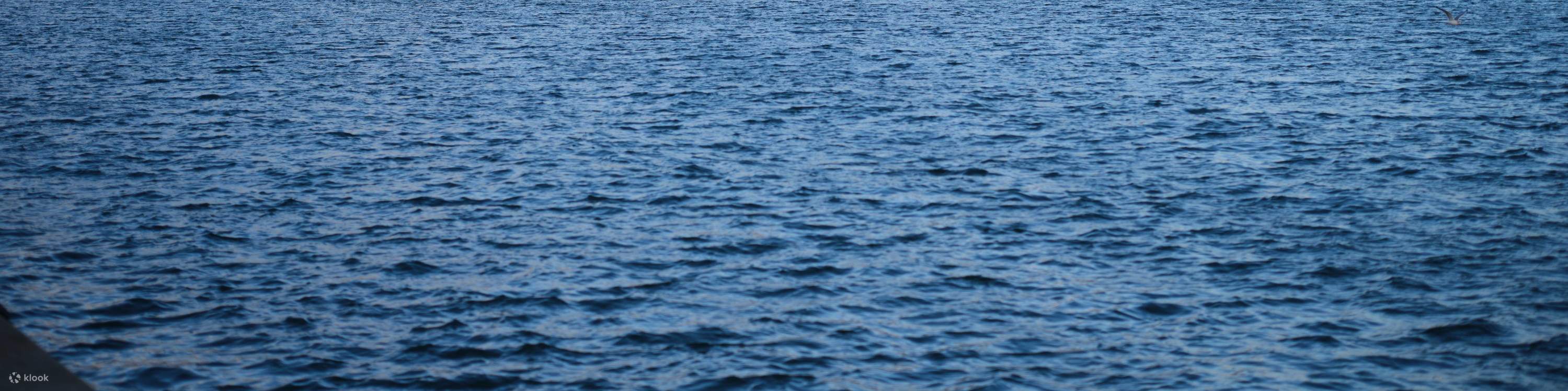 Thẻ Tham Quan Thành Phố Copenhagen Card