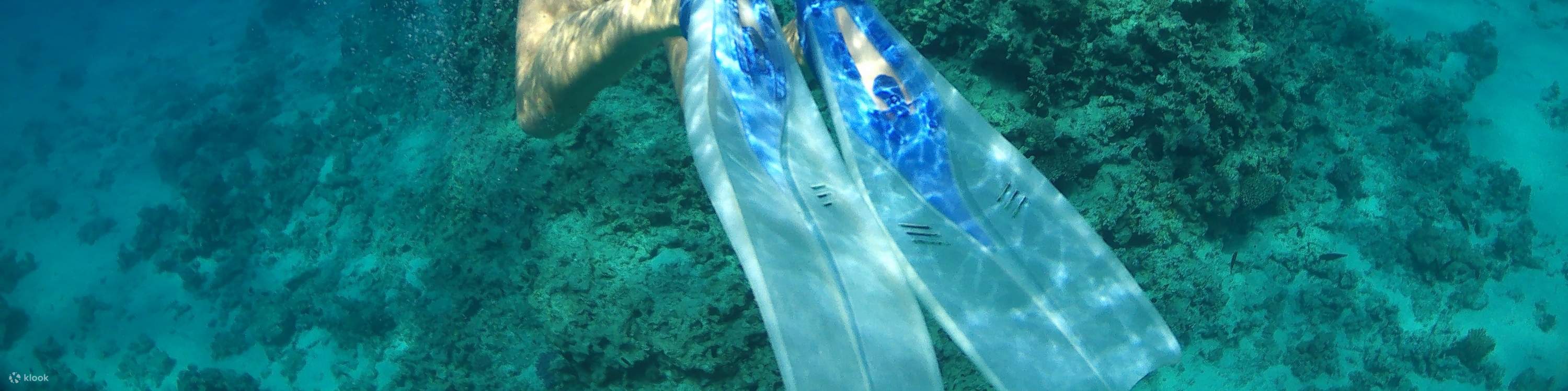 Trip Snorkeling Pulau Orange Bay dengan Makan Siang dan Olahraga Air