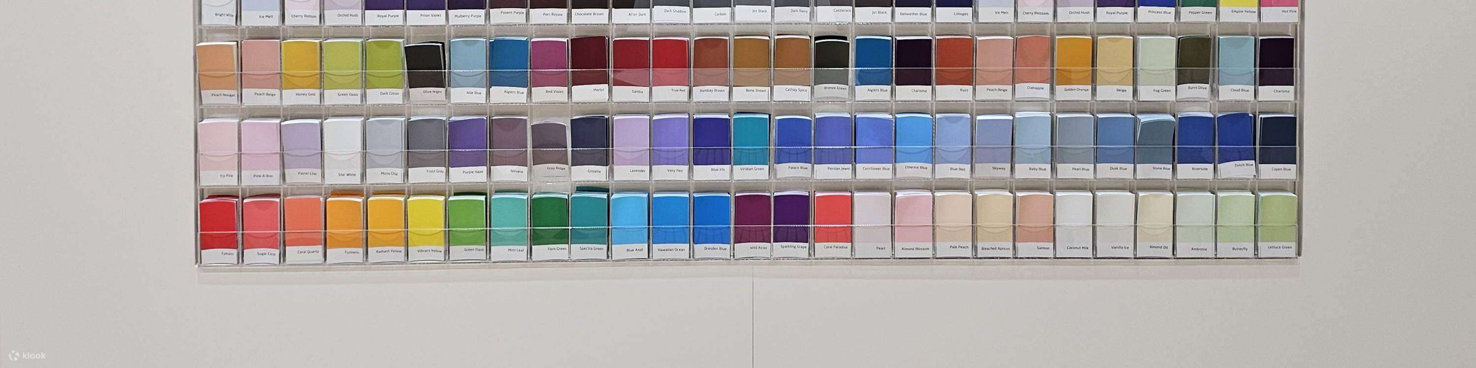 Colorize Cheongnyangni Store