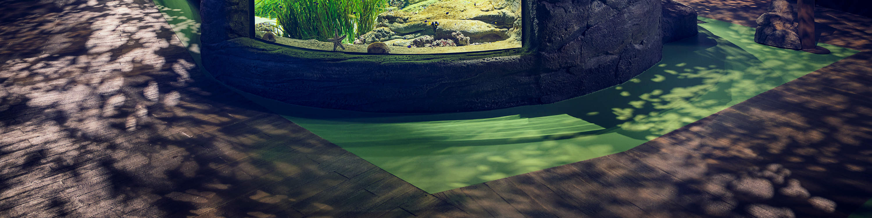 [Explore Singapore’s Coast] 