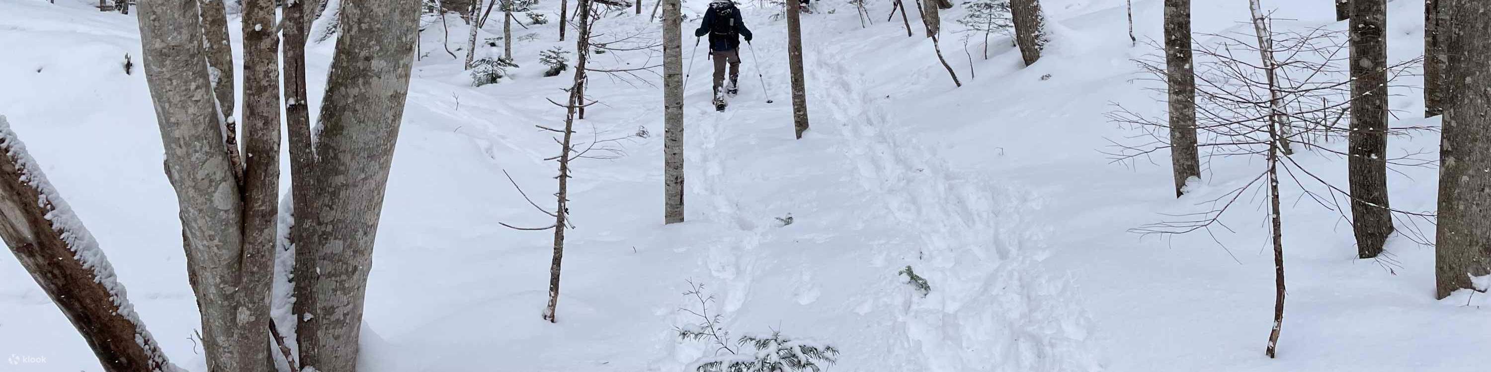 Schneeschuhwanderung im Wald von Otaru (mit Abholung)