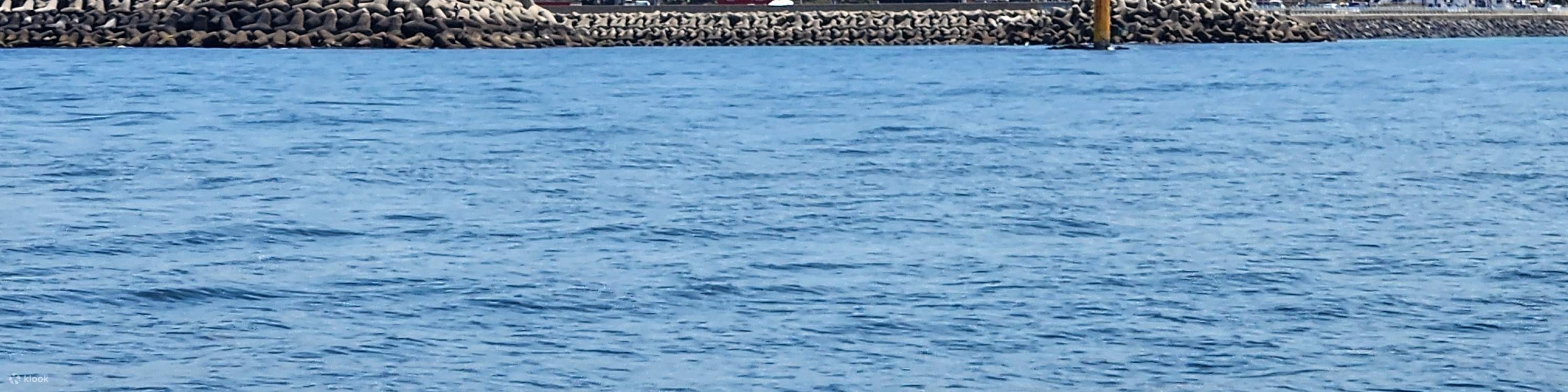 ทัวร์ตกปลาบนเรือในทะเลที่เชจูพร้อมอาหารกลางวัน