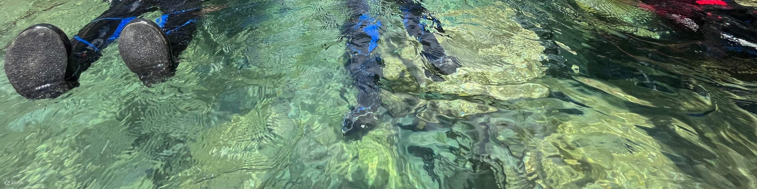 花莲: 三栈北溪溯溪体验/含攀瀑, 跳水, 原住民风味餐