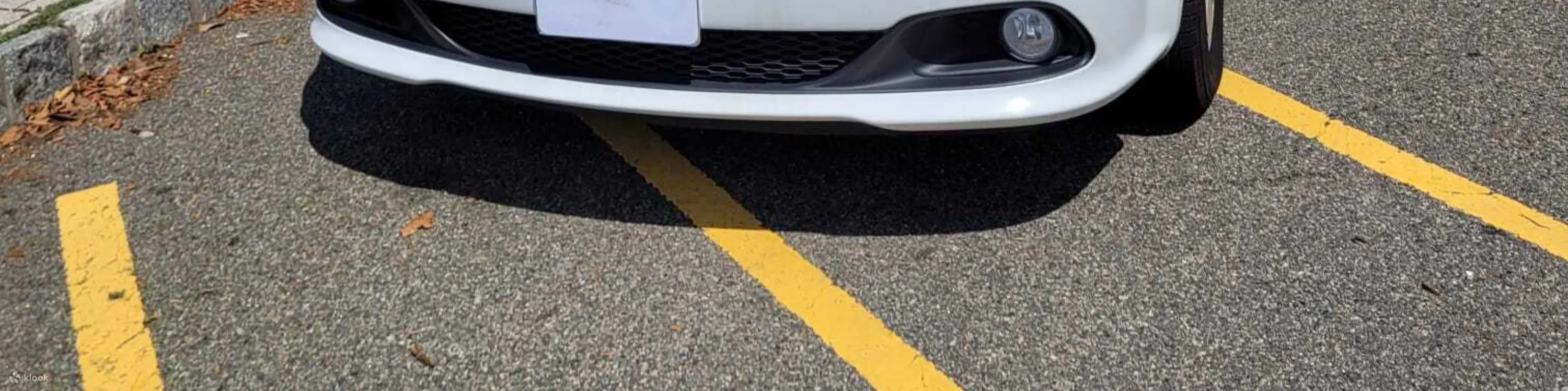 乘坐舒适的车辆，从纽瓦克机场前往自由角邮轮码头