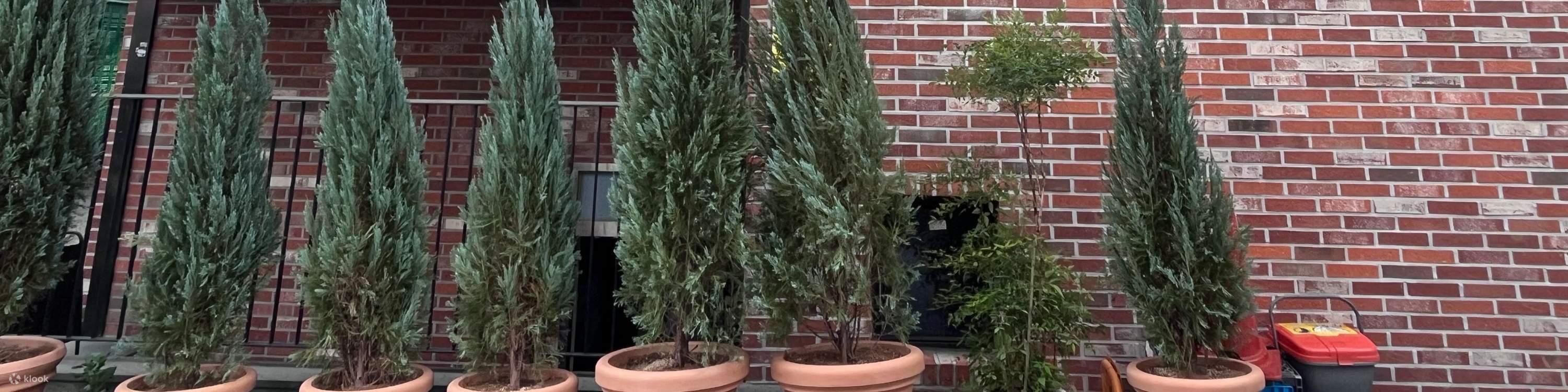 스타일 컨설팅 & 프리엄 두피 헤드 스파 (마리엠 헤어 앤 헤드 스파)