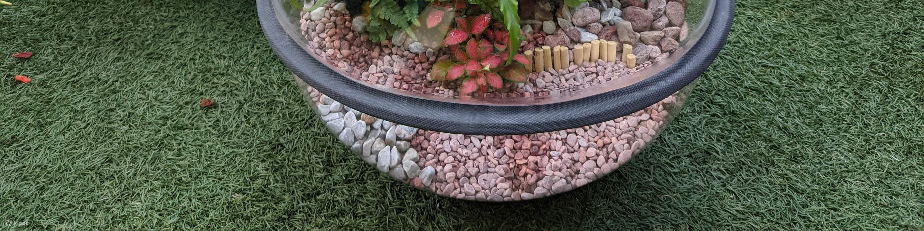 Scelta sostenibile ed economica per il giardinaggio indoor