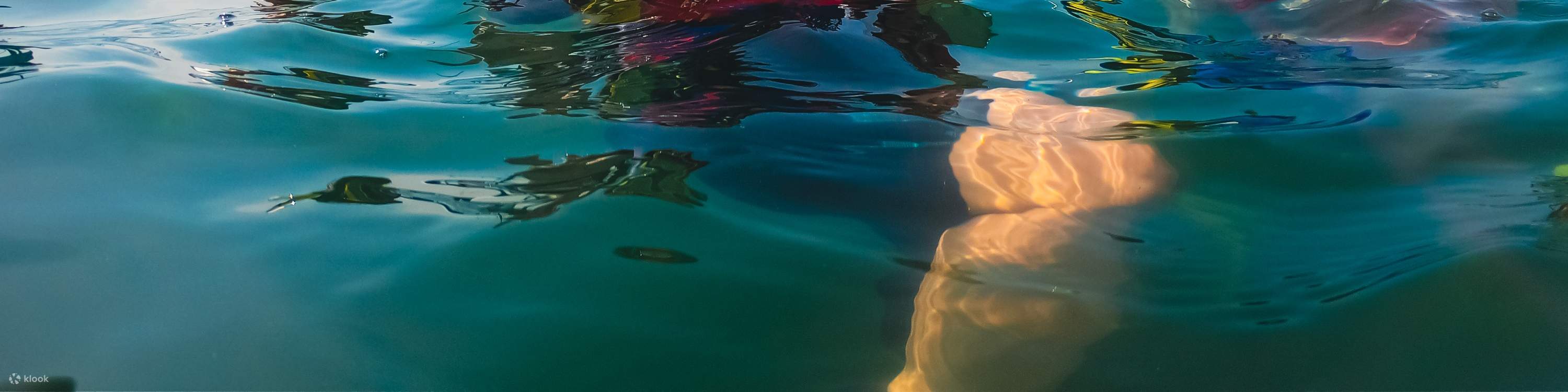 Turtle Island, Glass Bottom Boat, Mangrove Cruise by JTB Indonesia