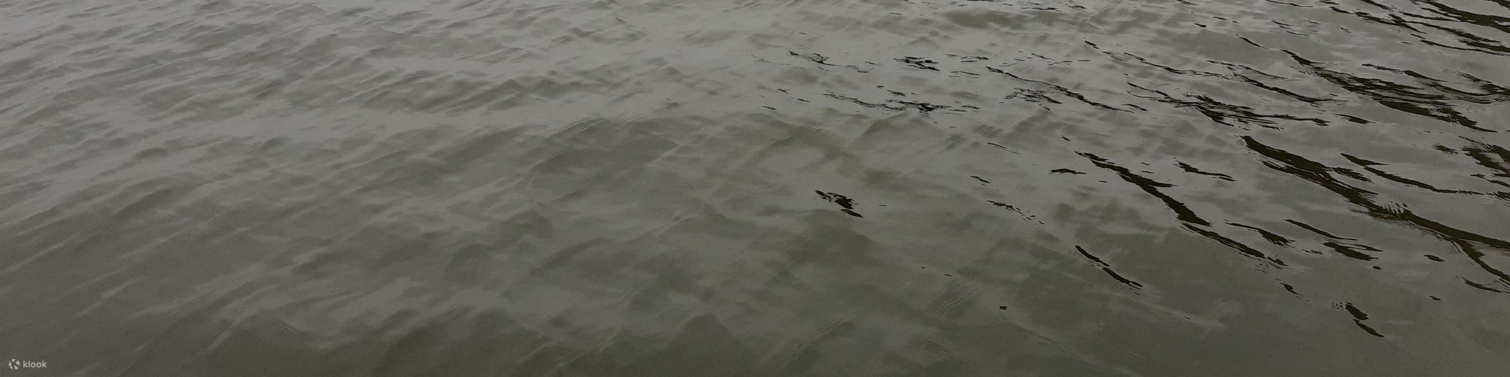 Tiket bot bersiar-siar Tai O