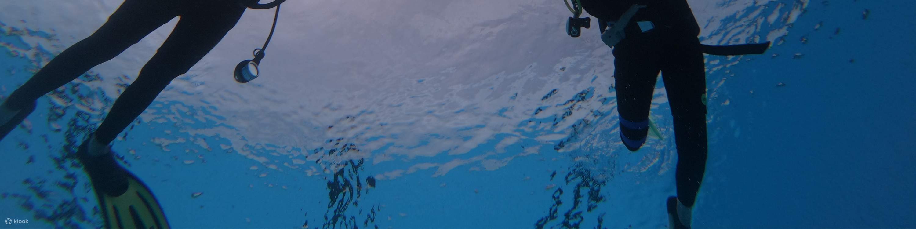 Scuba Diving in Pattaya by Manta Marina