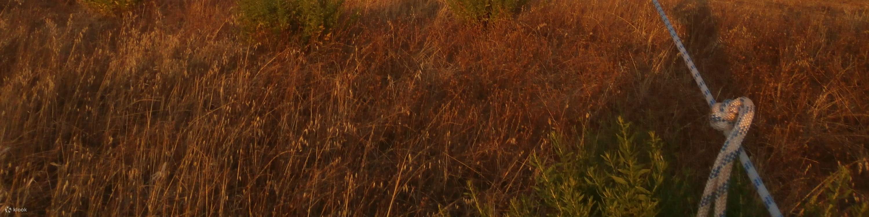 마요르카 선셋 열기구 체험