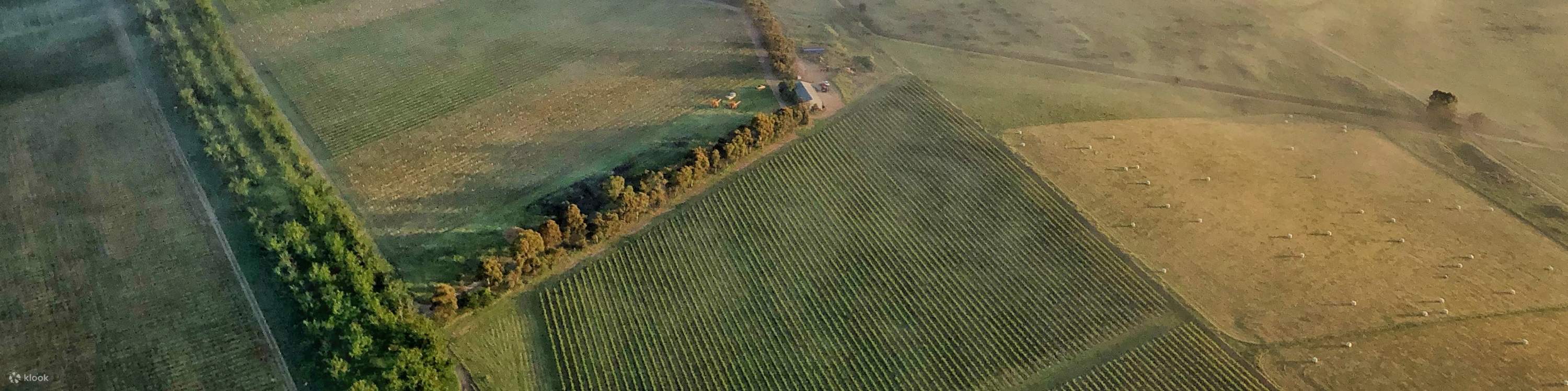 維多利亞州著名的葡萄酒產區距離墨爾本市中心僅50分鐘車程，擁有80多個分佈廣泛的葡萄園，這意味著您可以從熱氣球的空中視角欣賞到眾多美景。