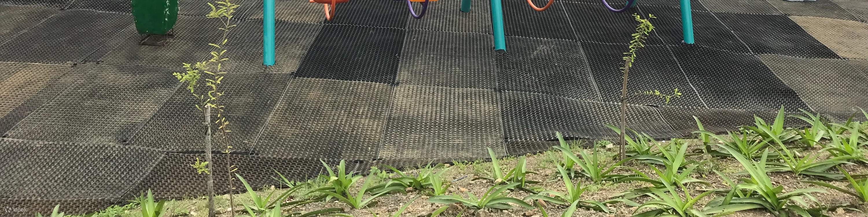 Nuova Taipei: Dannei Dannei Wild Luxury Manor