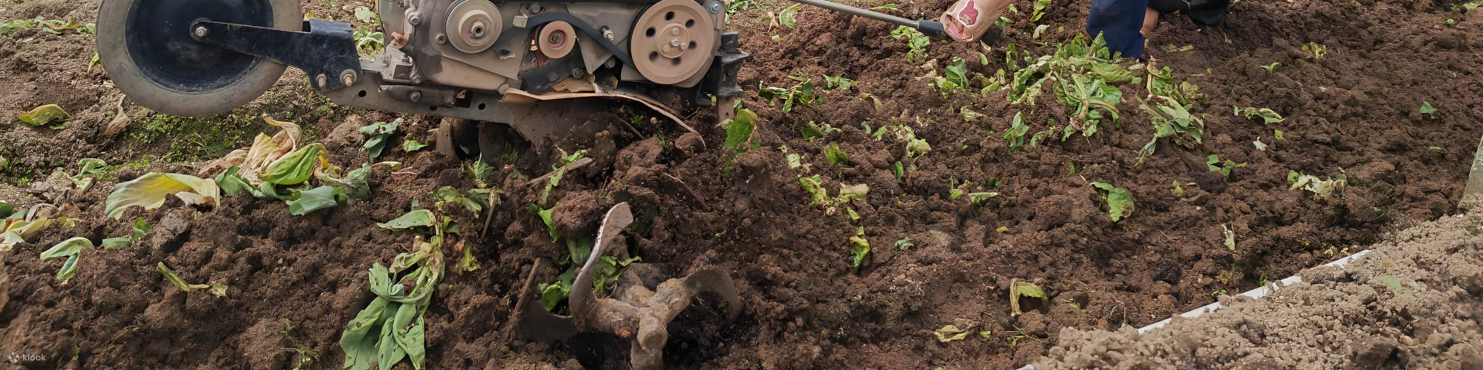 金馬崙高原吉姆菜園門票