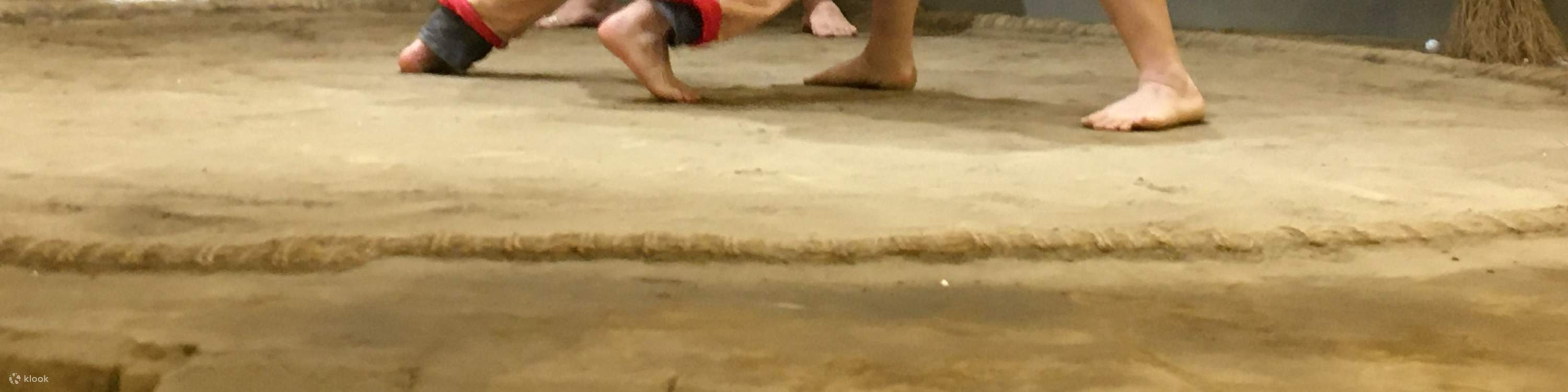 相扑选手互动挑战 & 美食体验