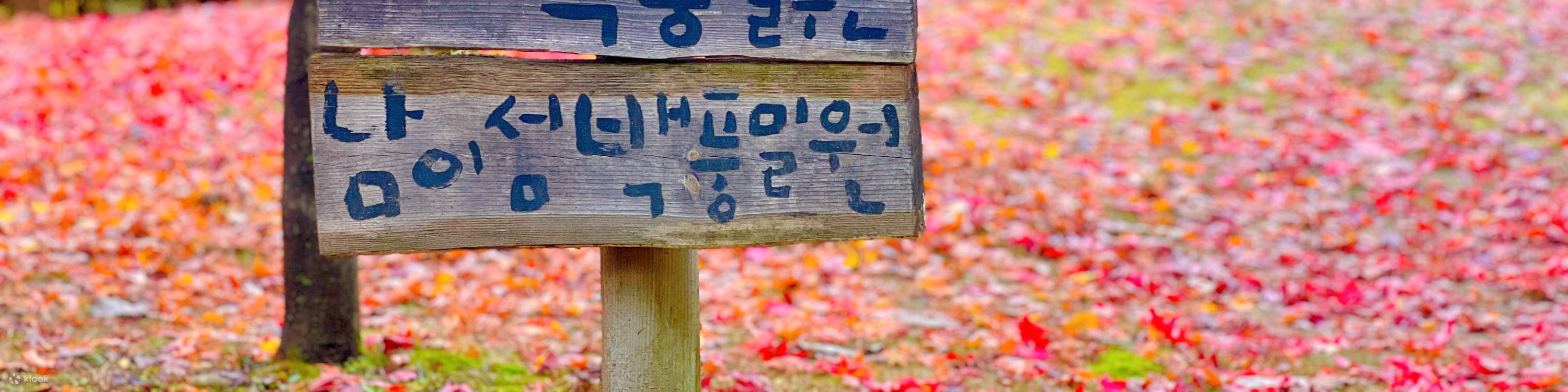 Билет на остров Нами