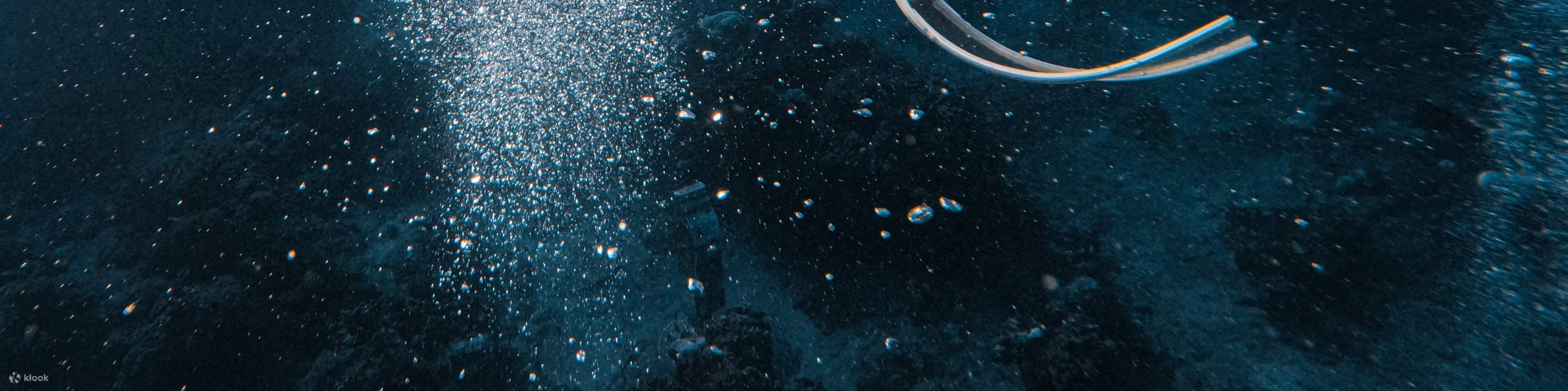 臺東: 綠島自由潛水體驗 (免證照&附海底攝影)