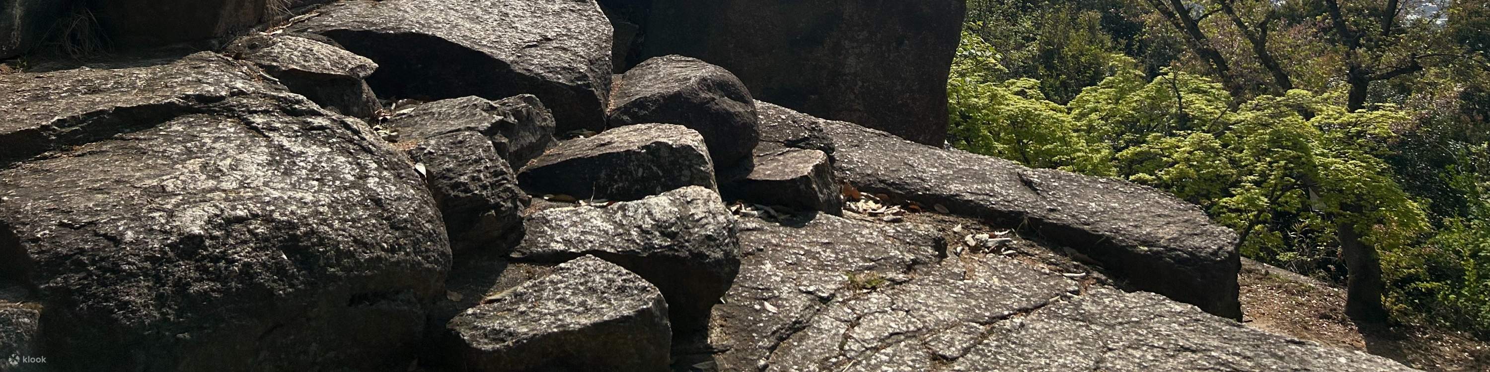 廣島春季早間徒步之旅 & 露天茶道