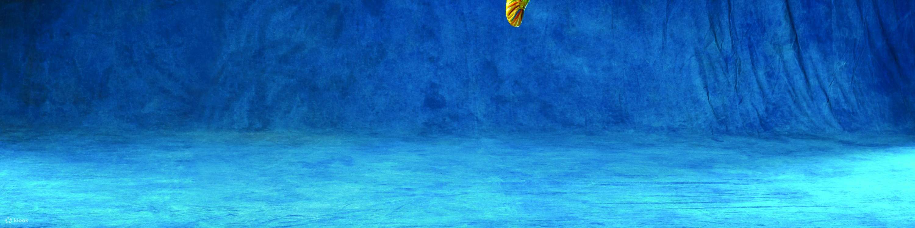 進入一個奇妙的世界，每一次跳躍和旋轉都講述著一個故事