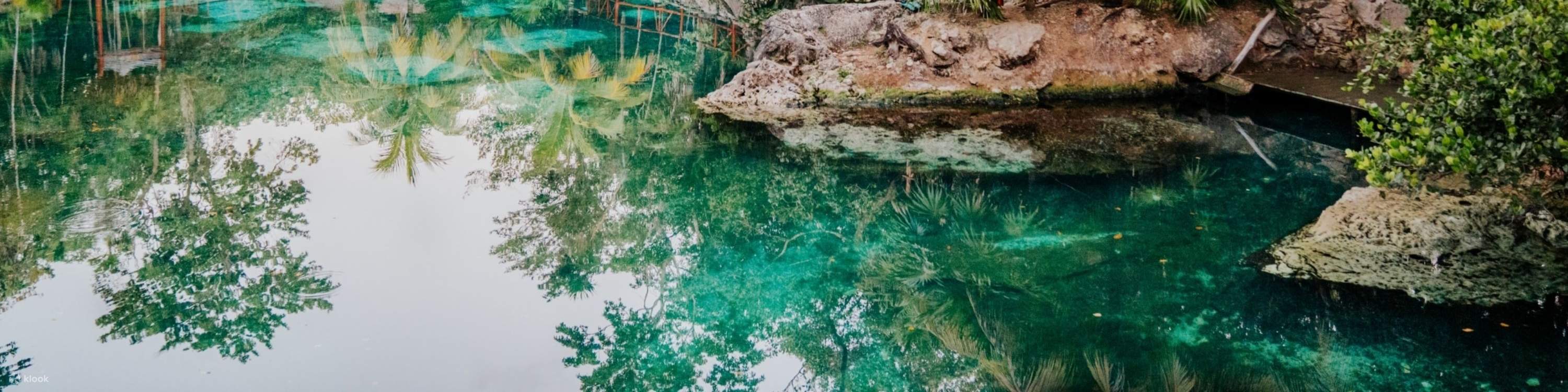 각기 다른 매력과 신비로운 분위기를 자랑하는 특별한 세노테 4곳을 탐험해보세요.