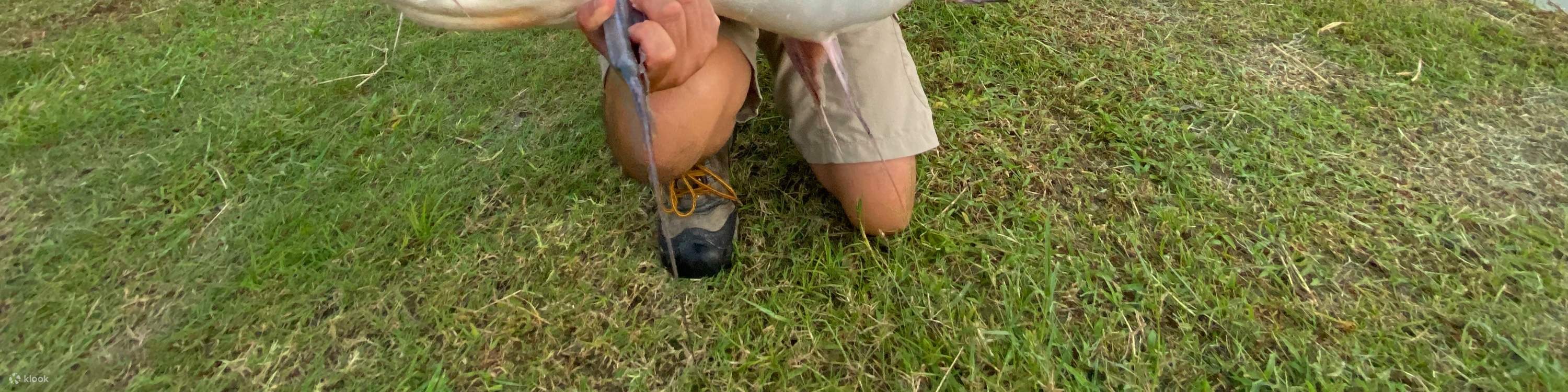 aktivitas memancing di Chiang Mai