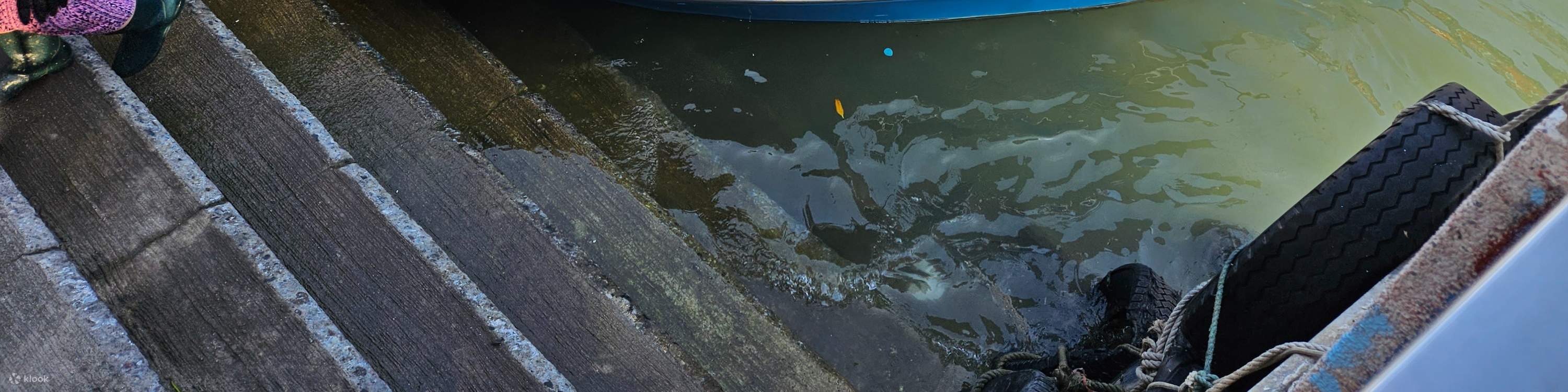 Tiket bot bersiar-siar Tai O