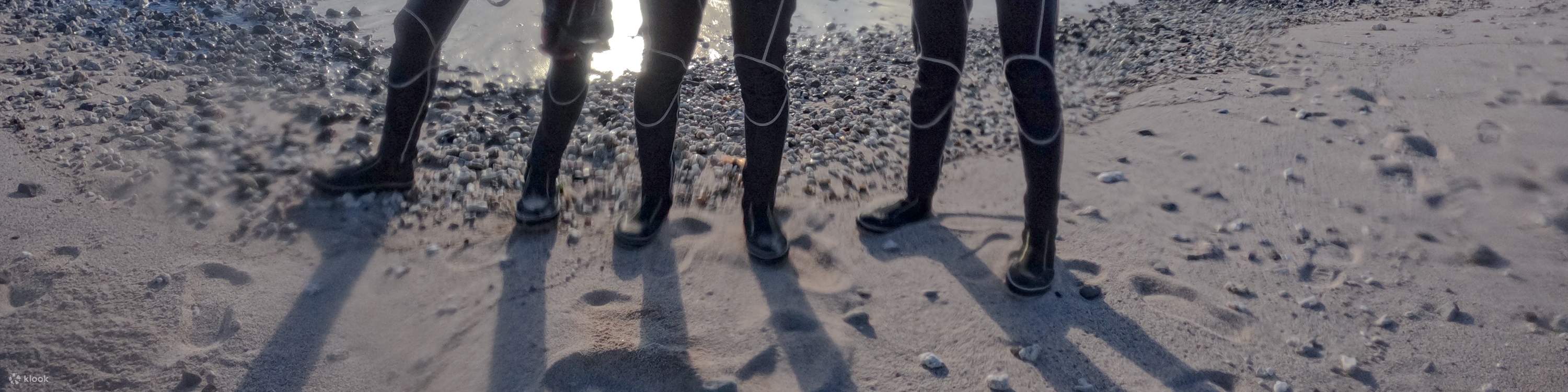 Menyelam di Teluk Green Island