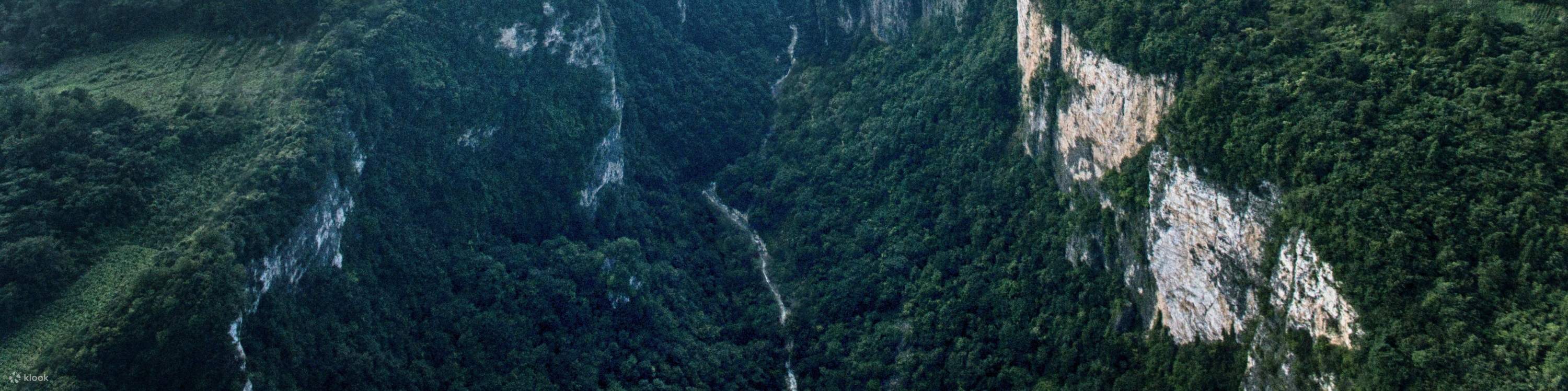 Excursion d'une journée à Wulingyuan et au pont de verre du Grand Canyon avec chauffeur (prise en charge à l'aéroport/gare ferroviaire incluse)