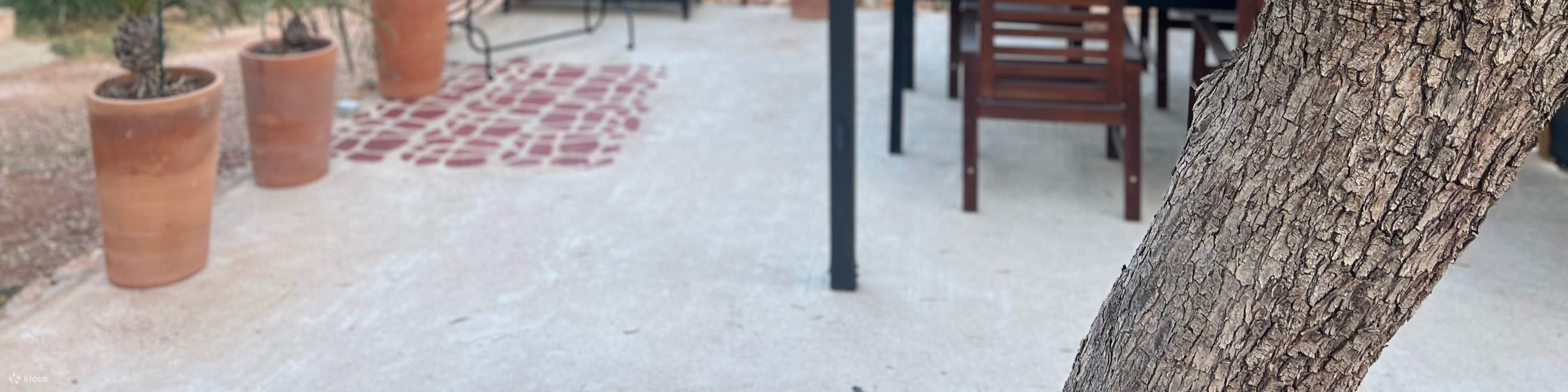 希腊雅典：手工皮革凉鞋制作工作坊