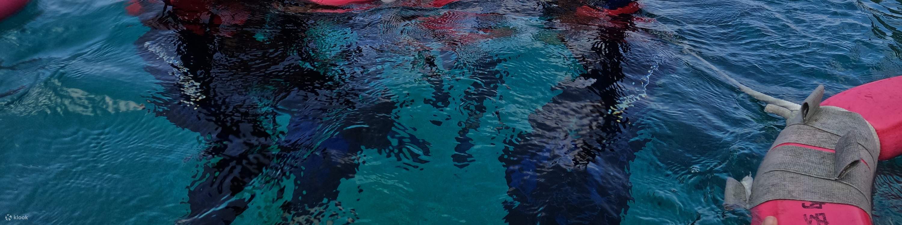 Snorkelers taking a group photo in the water