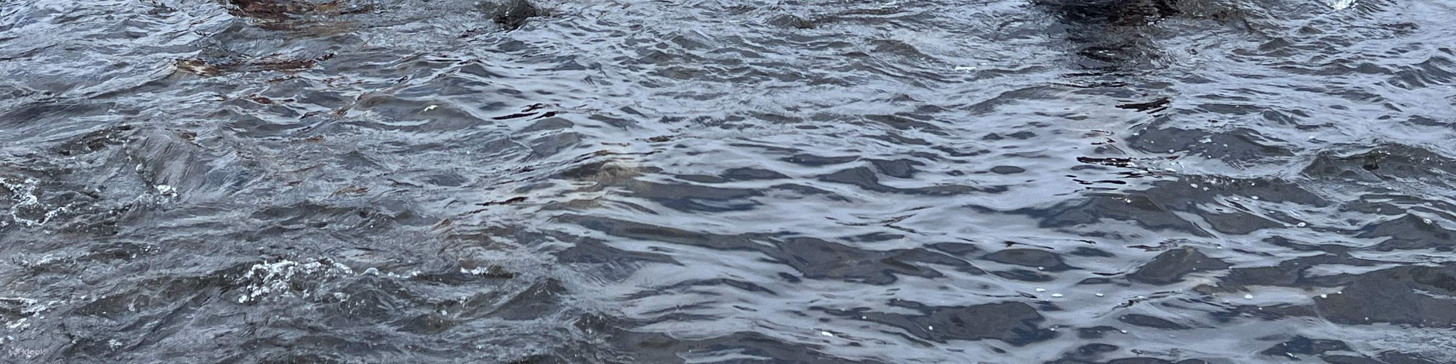 Pengembaraan Mermaid Diving Dibimbing oleh Haenyeo di Jeju