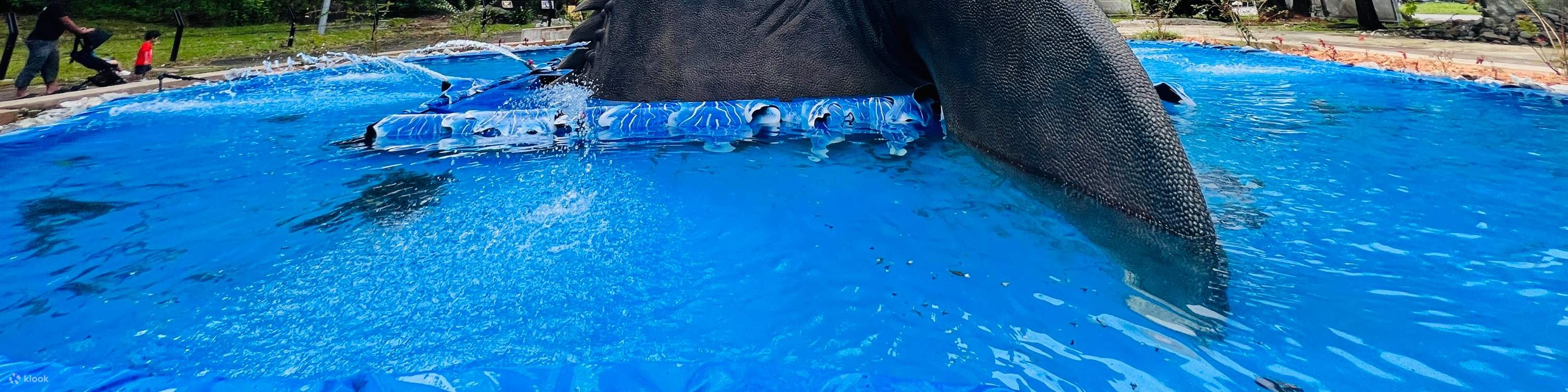 Begegnen Sie dem Dinosaurier