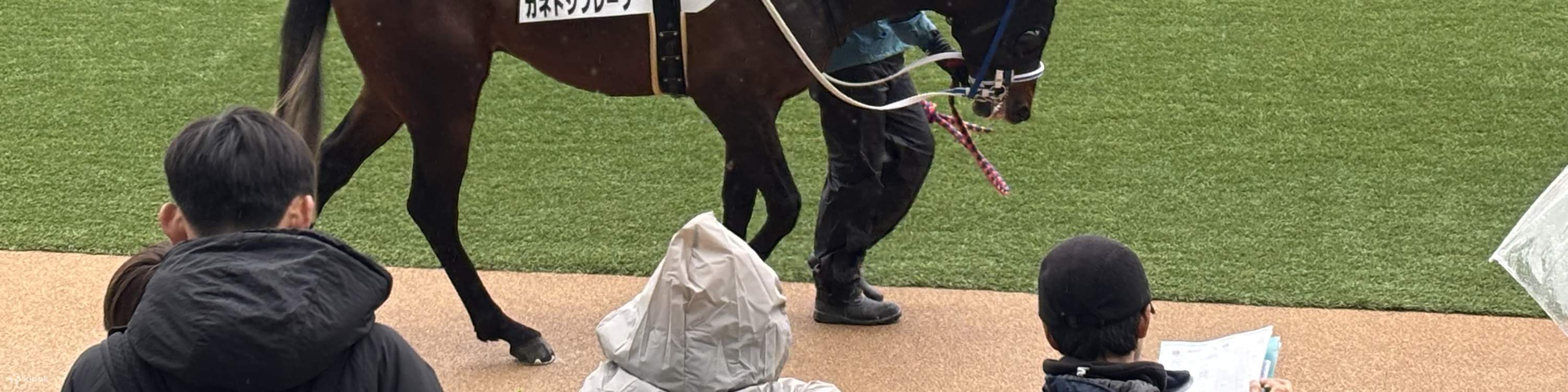 地元ファンと行く東京競馬ツアー（チケット付き）