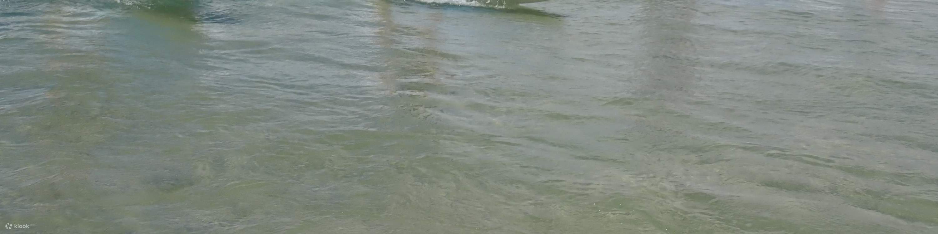 Lezioni di surf di gruppo