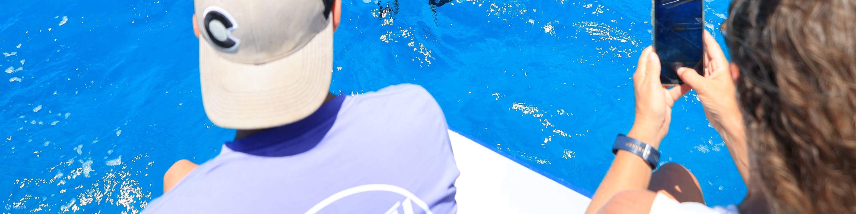 Guests capturing photos of dolphins leaping through the water near the boat