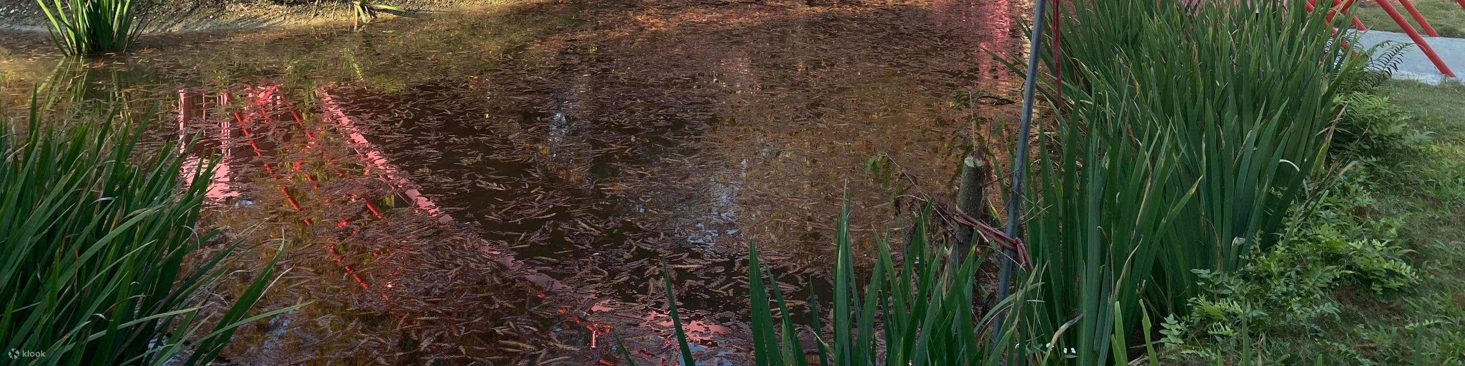 Kastil Pink Zhen Desa Tanduk Rusa