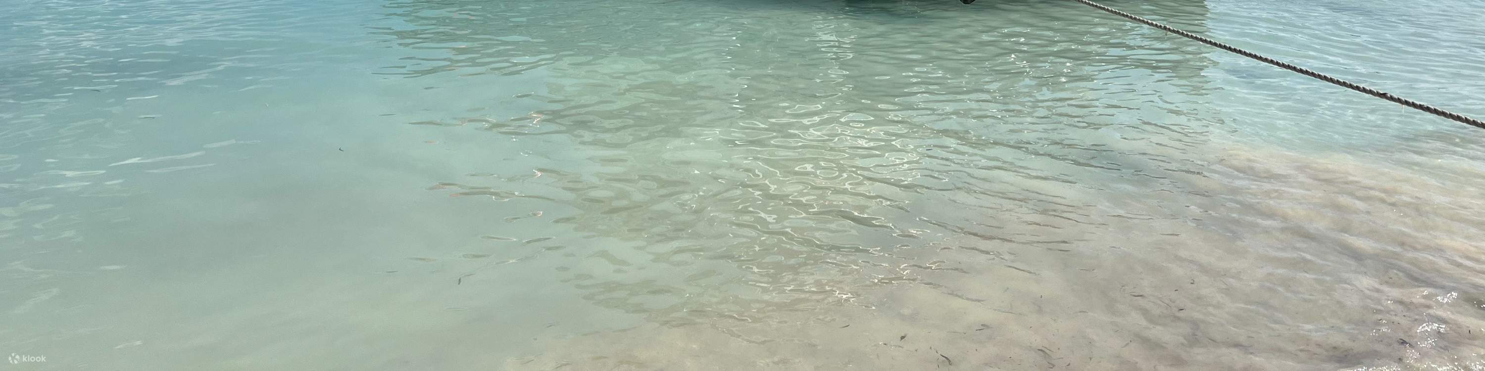 Tempat Snorkeling Lembongan Activity