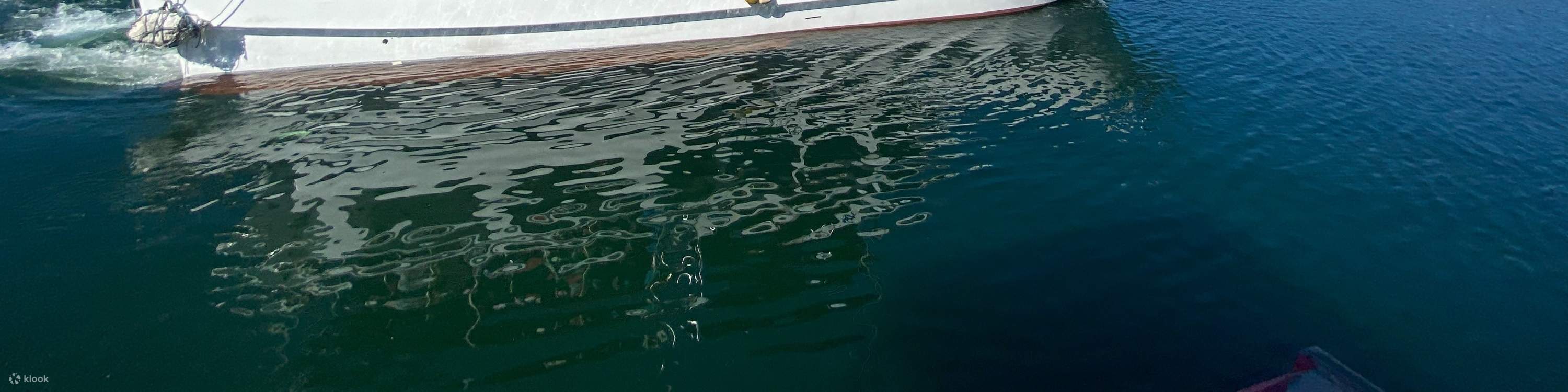 Hualien ｜ Observation des baleines dans le Pacifique ｜ Expérience d'observation des baleines