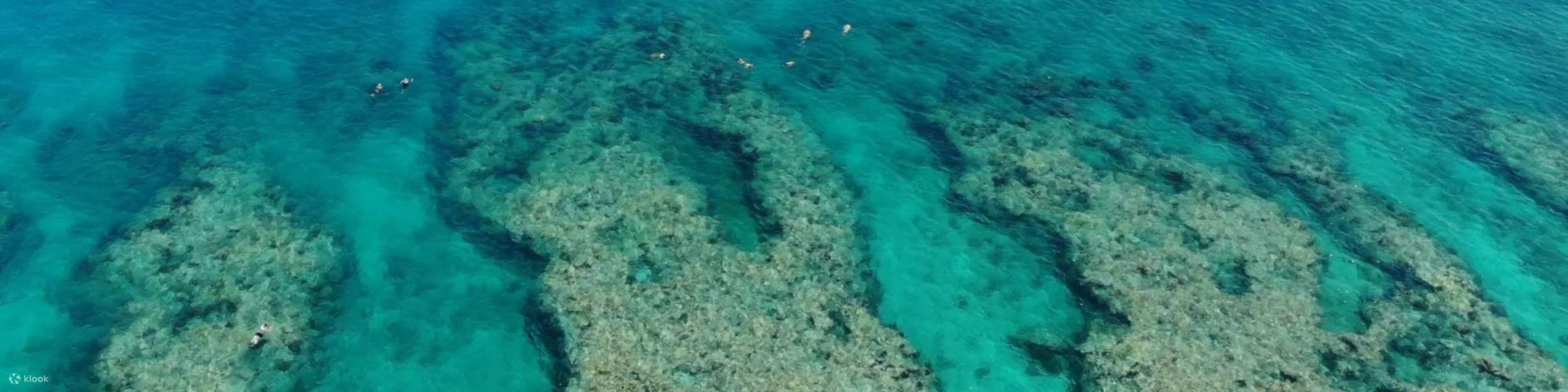 Navegue a bordo de un espacioso catamarán con impresionantes vistas al océano y servicios a bordo.