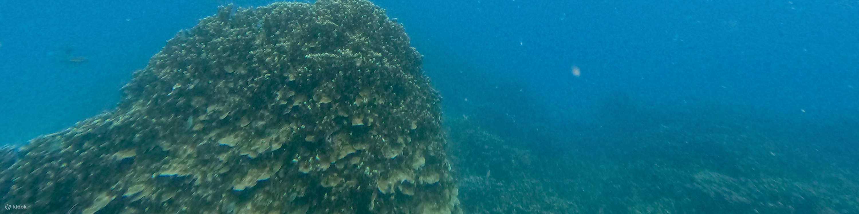 关岛水肺潜水 & 立式桨板SUP课程