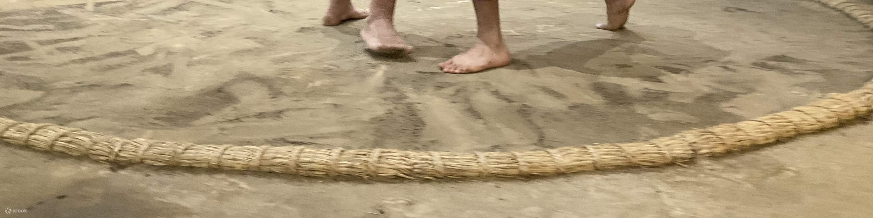 Esperienza Sumo & Cena Chanko Hot Pot a Tokyo