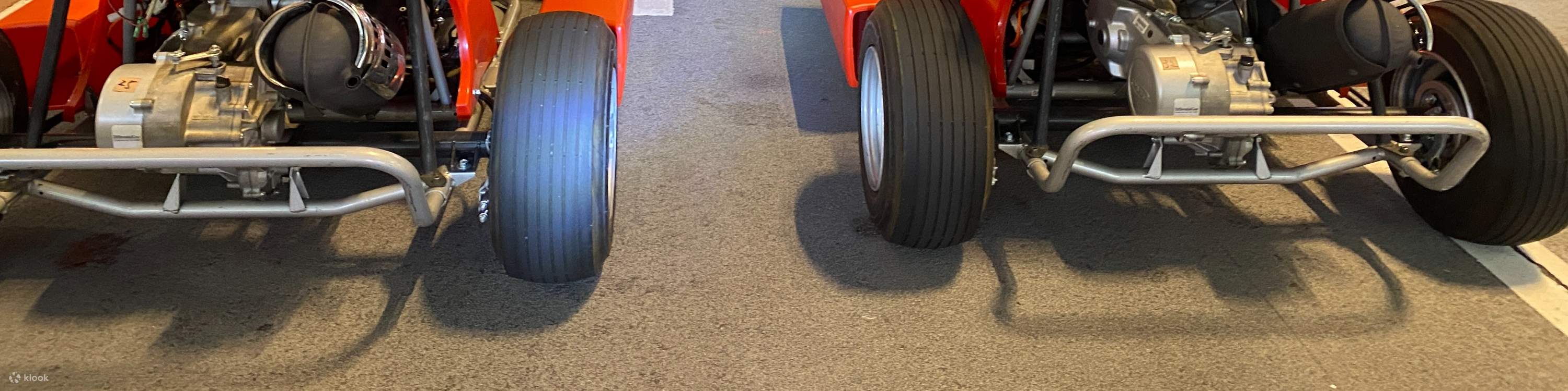 Esperienza Street Kart Go-Kart a Shibuya