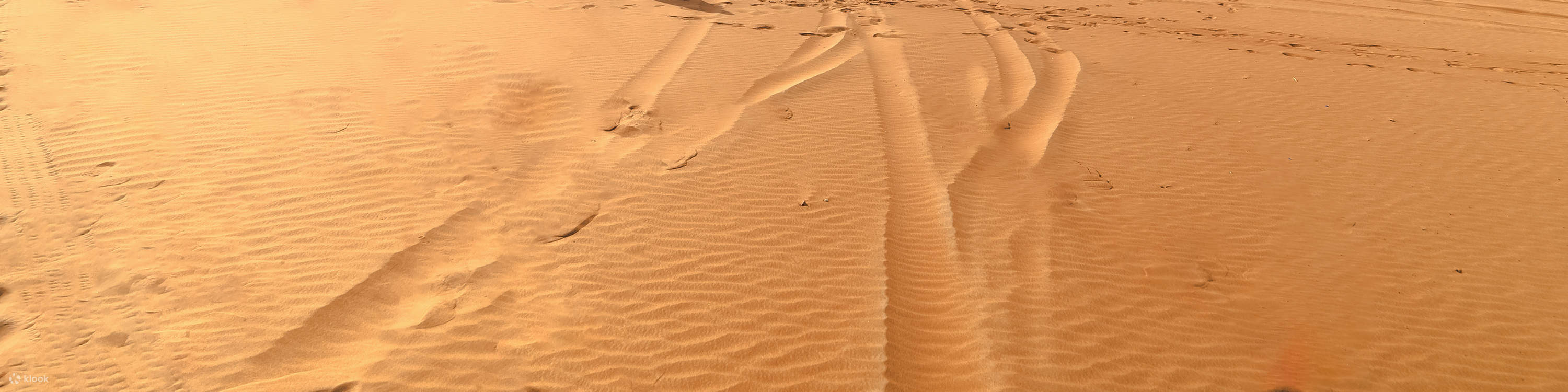 フォッシル・ロック