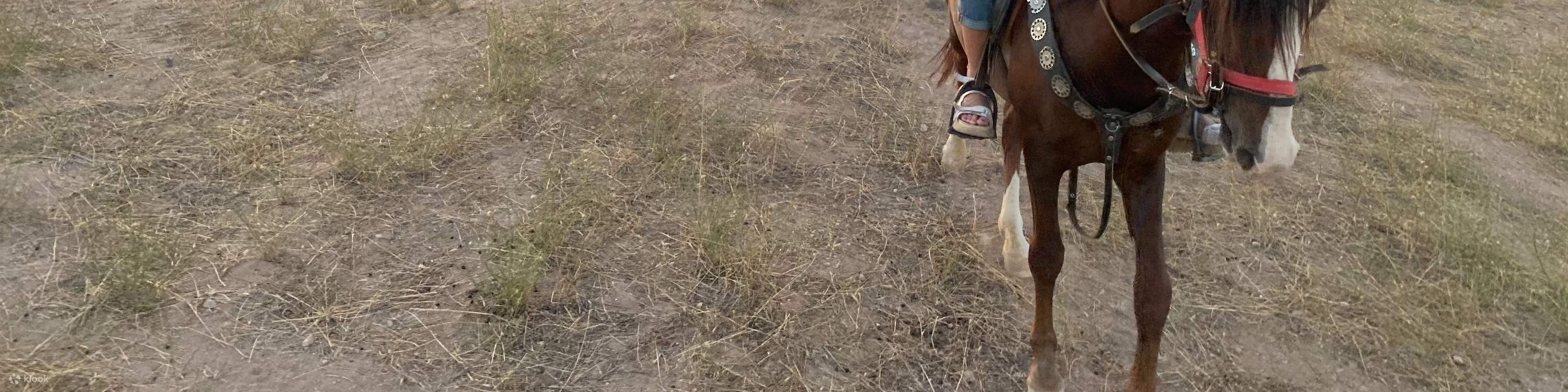 Randonnée guidée à cheval dans les cheminées de fées en Cappadoce
