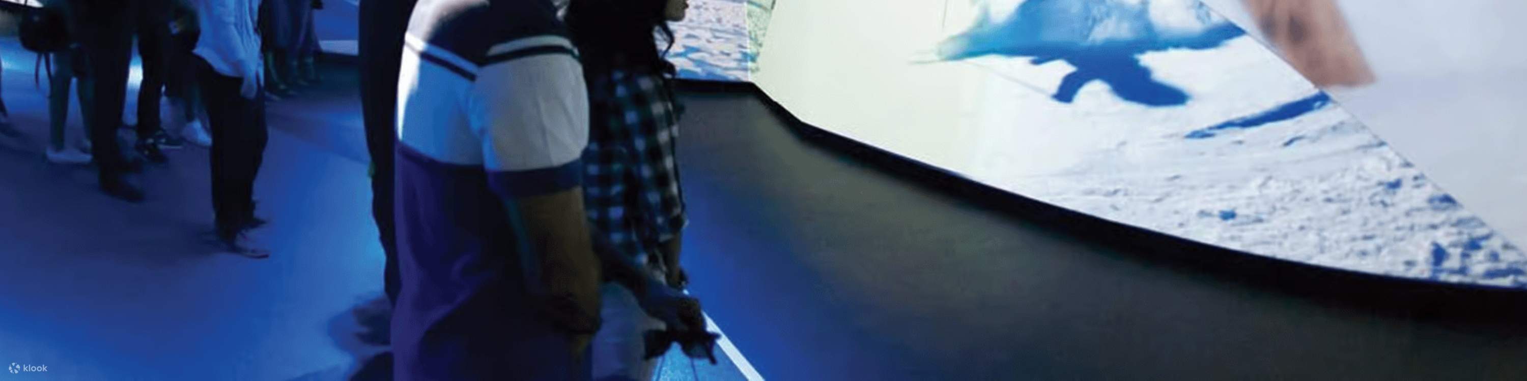 밴쿠버 플라이오버 체험