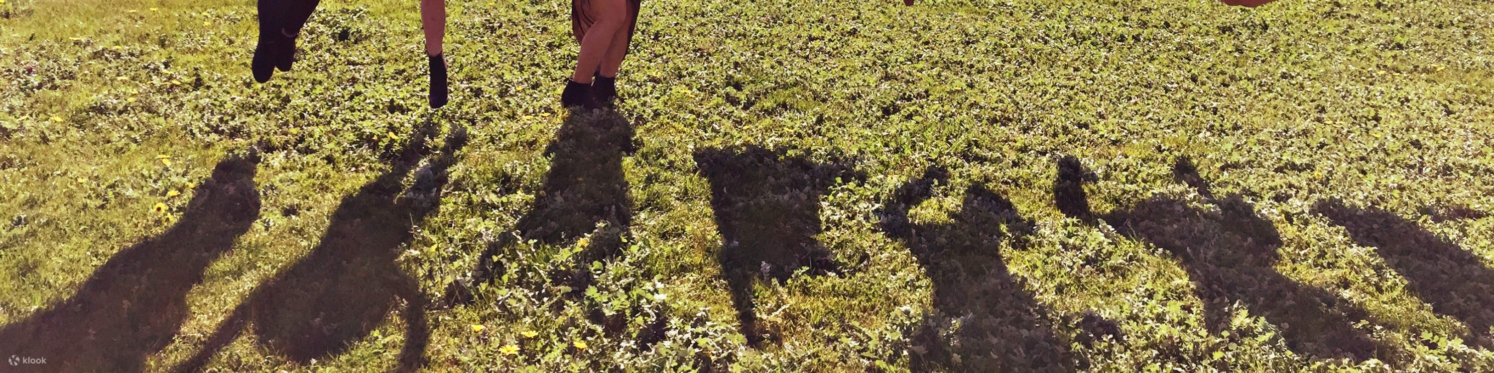 Melbourne: Tour Thung lũng Yarra thưởng thức rượu vang, gin/bia, phô mai & sô cô la