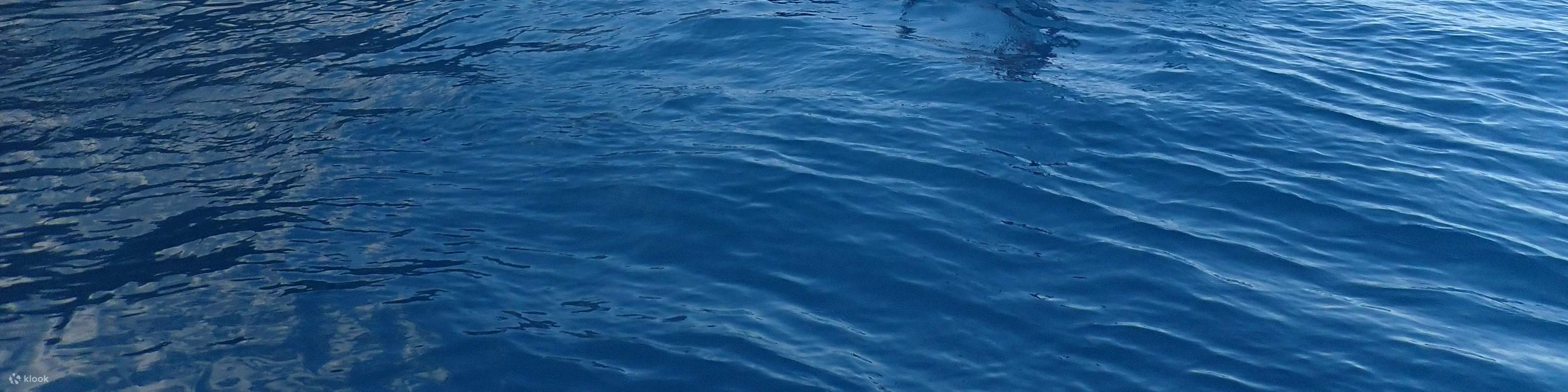 Hualien: Kanu-/SUP-/ATV-Erlebnis